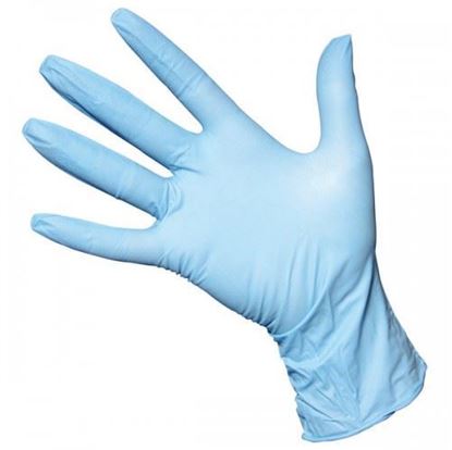 Picture of Gloves,Nitrile Disp Lg (100)