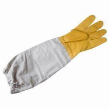 Picture of Bee Plastic & Canvas Gloves (Large)