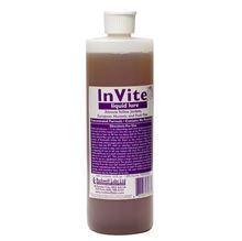 Picture of InVite Liquid Lure (16-oz. bottle)