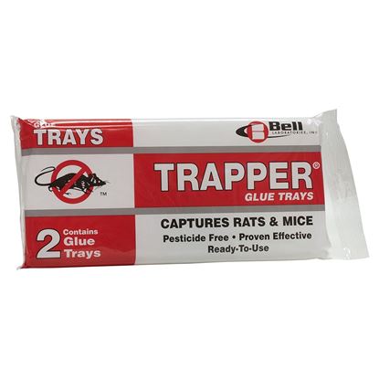 Picture of TRAPPER Glue Boards for Rats (24 x 2 count)