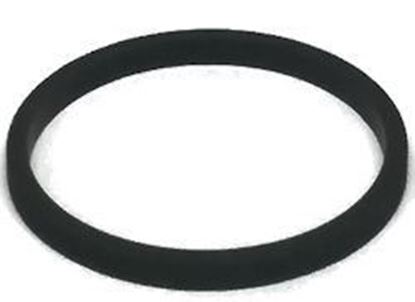 Picture of Hypro 1700-0065 Gasket for Low-Profile Strainer