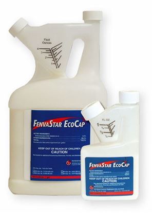 Picture of FenvaStar EcoCap
