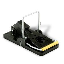 Picture of Snap-E Mouse Trap - Bulk (72 count)