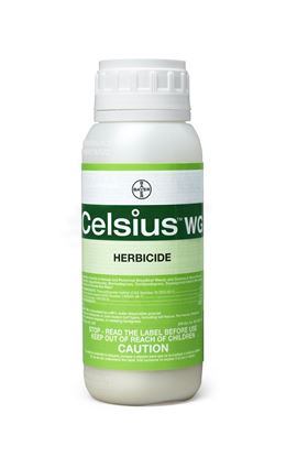 Picture of Celsius WG