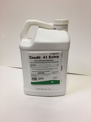 Picture of Credit 41 Extra