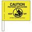 Picture of Flags,Turf & Pesticide Lawn