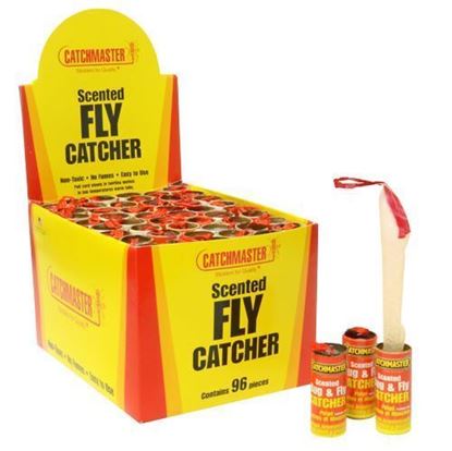 Picture of Catchmaster 9144 Bug and Fly Ribbon