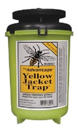 Picture of Advantage Yellow Jacket Trap