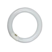 Picture of Synergetic Circline Bulb - 22 watt (12 count)