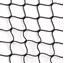 Picture of Hot Foot Invisi Net Black (33 Ft X 33 Ft)