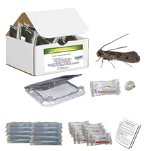 Picture of Pro-Pest Safestore Kit - Casemaking Clothes Moth (10 count)