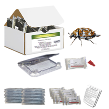 Picture of Pro-Pest Safestore Kit - Varied Carpet Beetle (1 count)