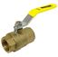 Picture of Webstone 41704 Ball Valve - 1 in.