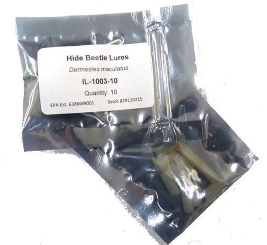 Picture of Insects Limited Hide Beetle Lure (10 count)