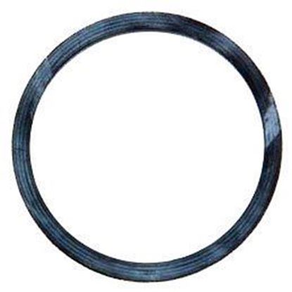 Picture of Spraying Systems CP23173-VI Viton Gasket