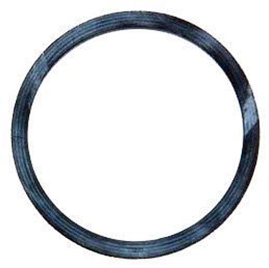 Picture of Spraying Systems CP23173-VI Viton Gasket