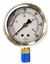 Picture of PIC Gauge PRO-201L254K Glycerin Filled Pressure Gauge - 0- 600 psi