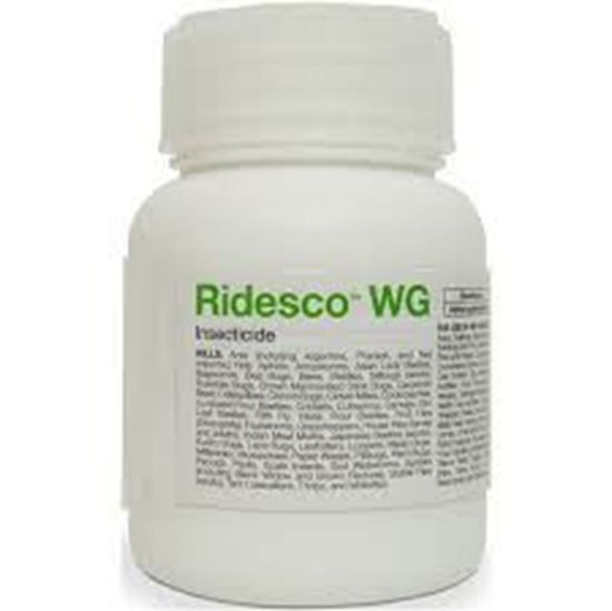 Picture of Ridesco Wg 190Gm Each