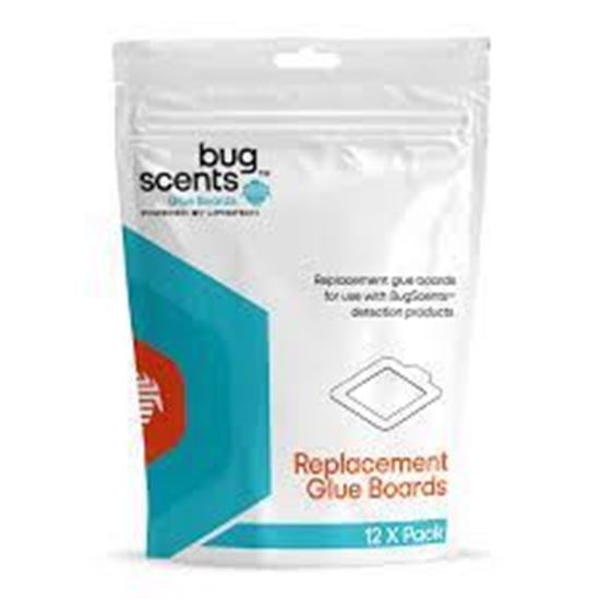 Picture of Bed Bug Repl Glueboard 25X12Pk